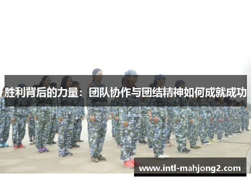 胜利背后的力量：团队协作与团结精神如何成就成功