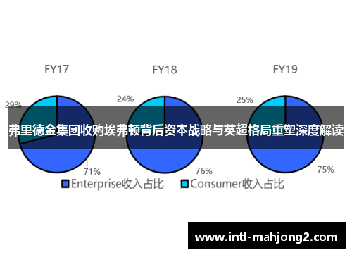 弗里德金集团收购埃弗顿背后资本战略与英超格局重塑深度解读